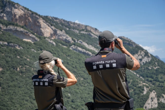 Agents del Cos d’Agents Rurals durant tasques de prevenció d’incendis forestals vinculades al Pla Alfa