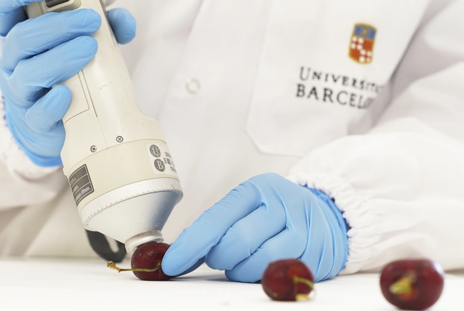 Fotografia corporativa realitzada durant la sessió fotogràfica per humanitzar la comunicació digital de l’INSA