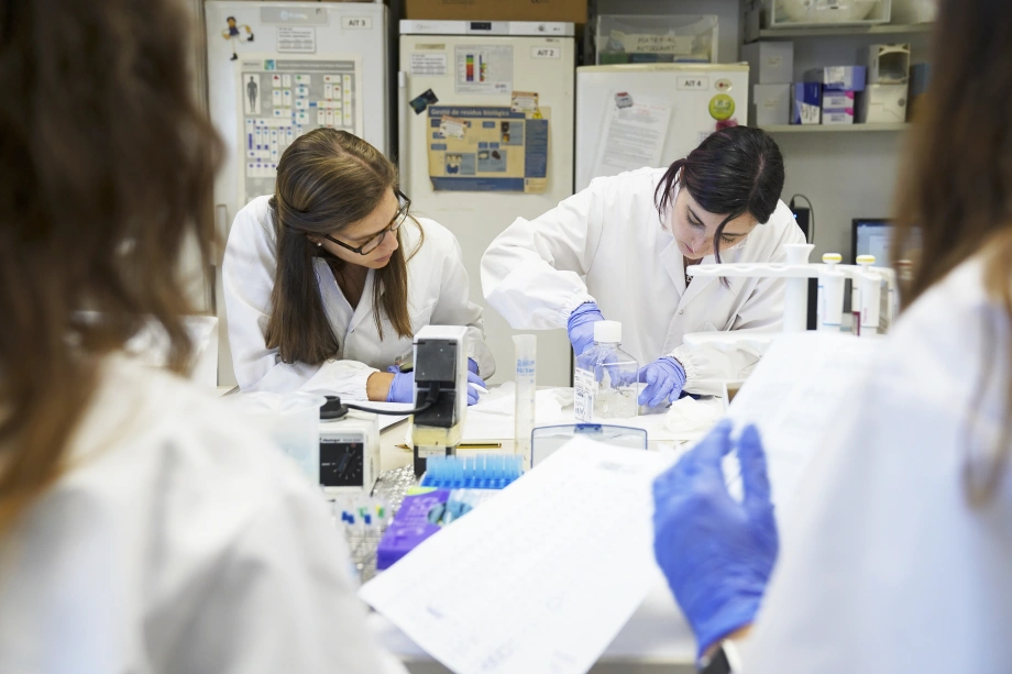 Imatge dels equips de recerca de l’INSA-UB capturada per reforçar la comunicació visual del nou web institucional