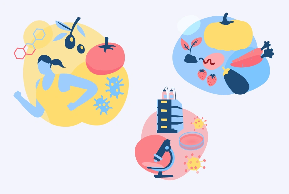 Il·lustracions personalitzades creades per representar les àrees de recerca dins el web de l’INSA