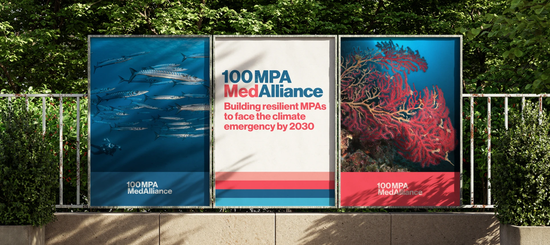 Sistema gràfic i elements visuals de la identitat corporativa del projecte europeu MedAlliance 100MPA per a l’ICM-CSIC